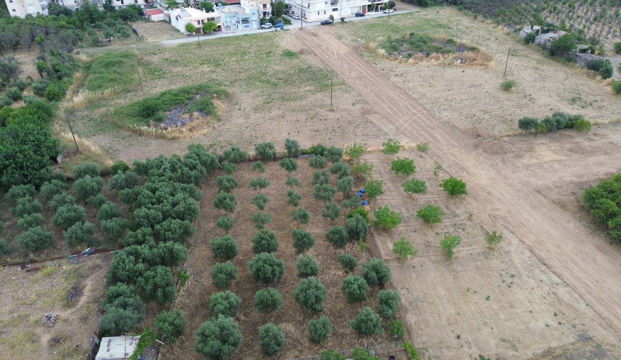DJI_0109