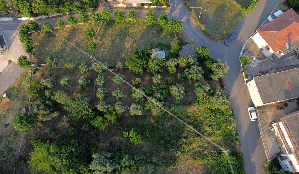 ΟΙΚΟΠΕΔΟ_ΛΗΨΗ