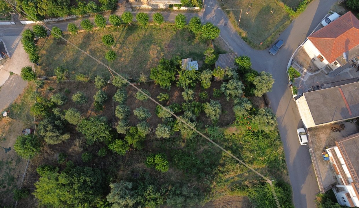 ΟΙΚΟΠΕΔΟ_ΛΗΨΗ1