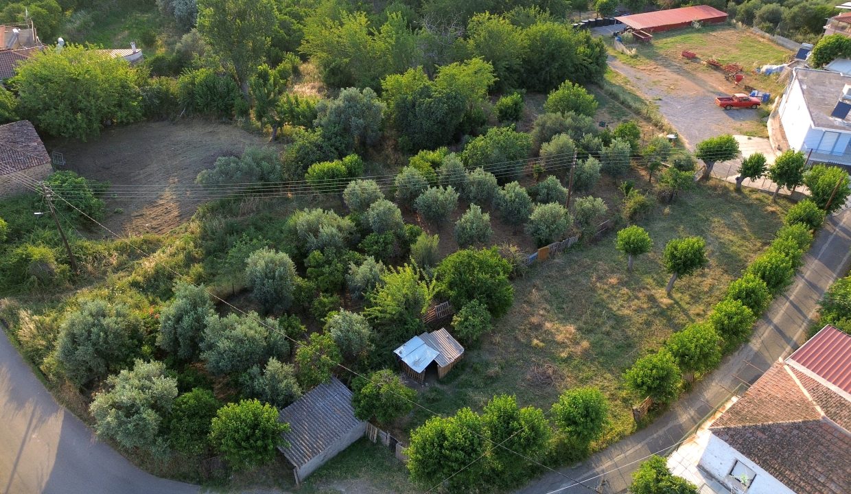 ΟΙΚΟΠΕΔΟ_ΛΗΨΗ2