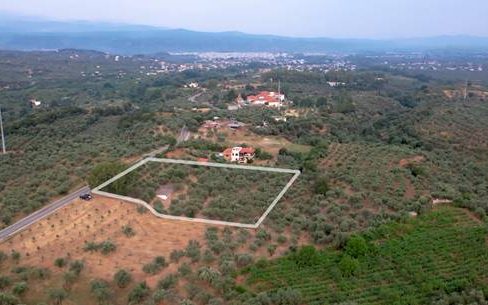 thumbnail_image007