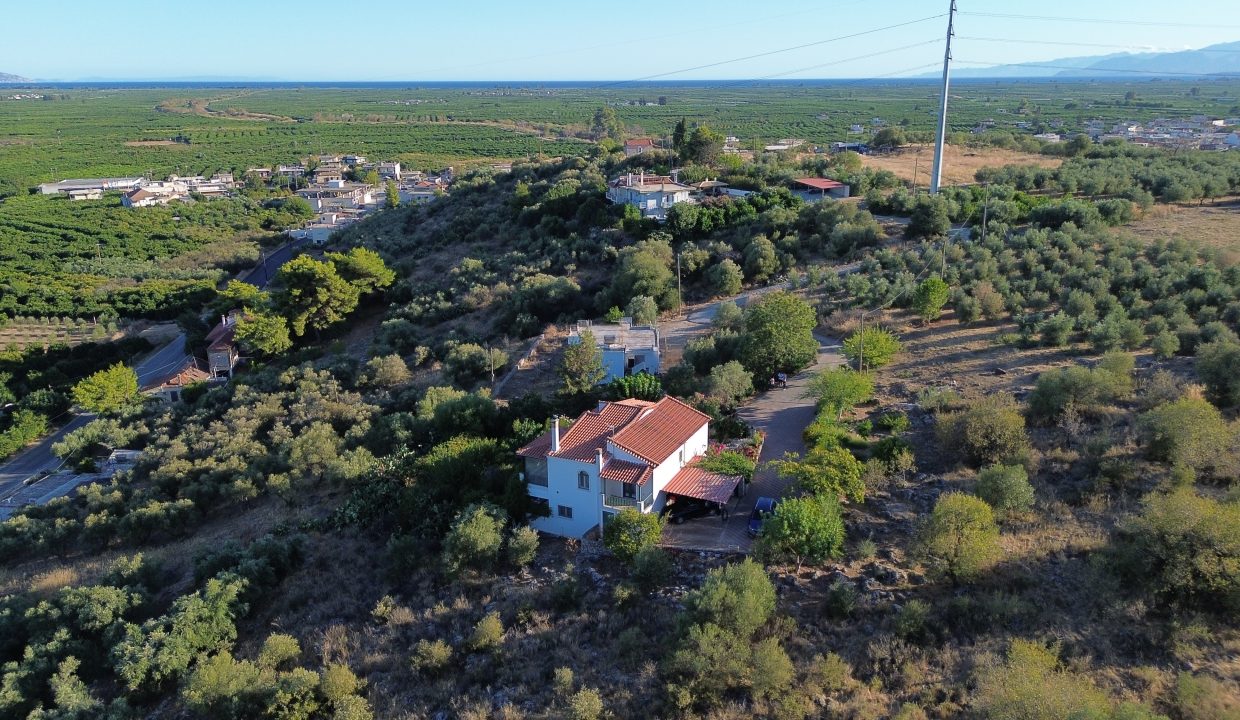 dritsa28